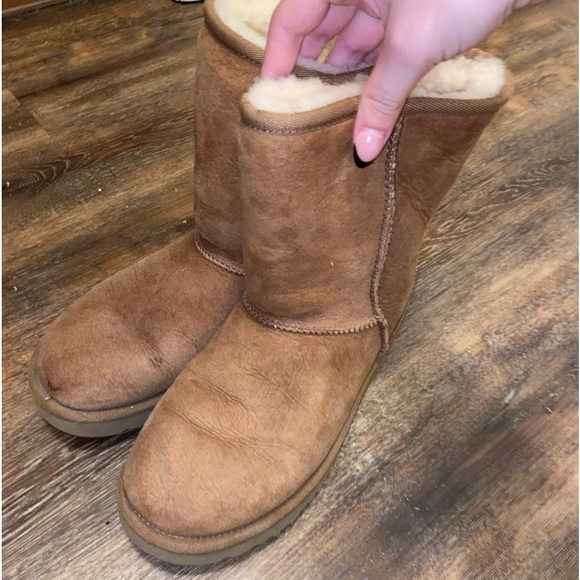 UGG Shoes - UGG classic short
